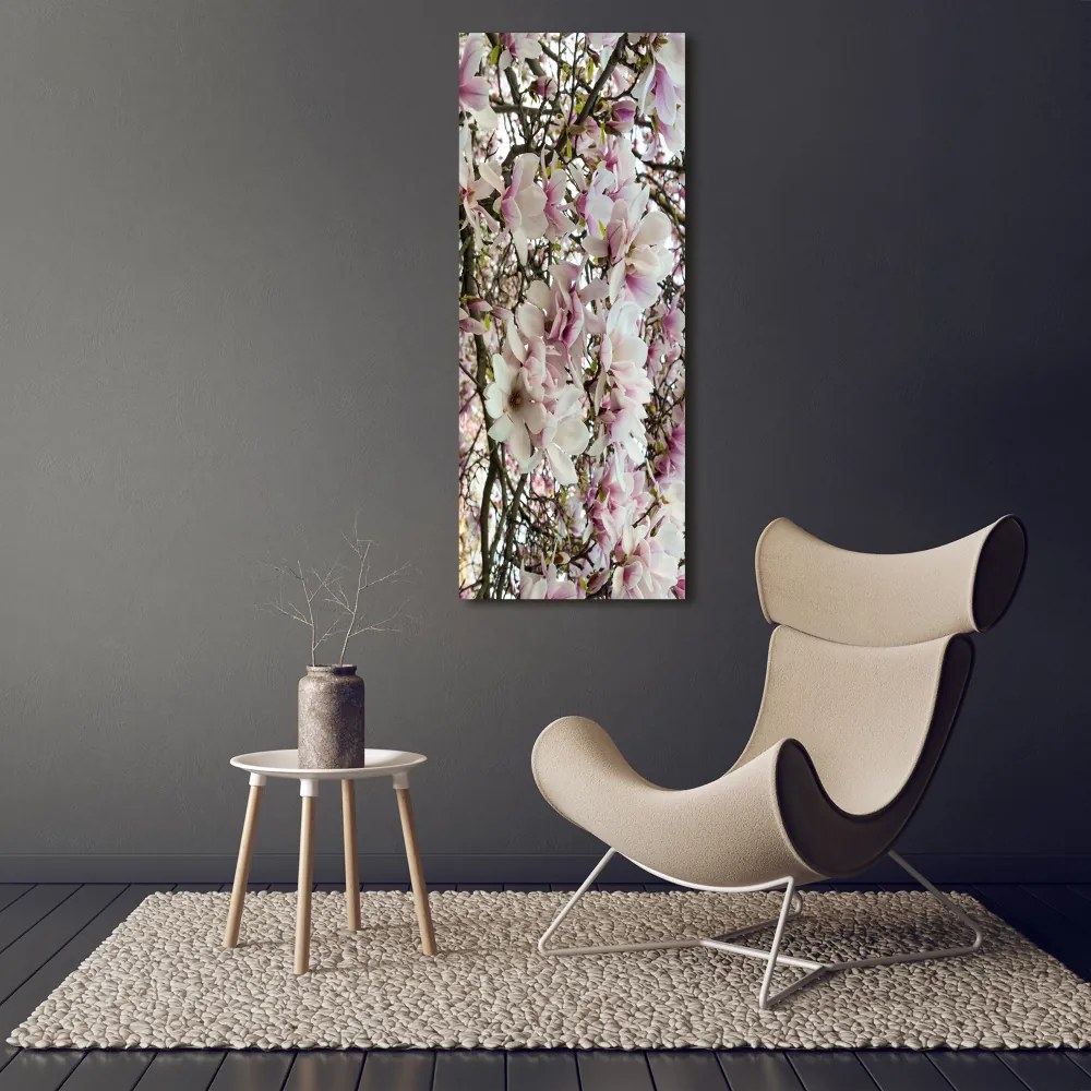 Foto obraz na szkle Kwiaty magnolii