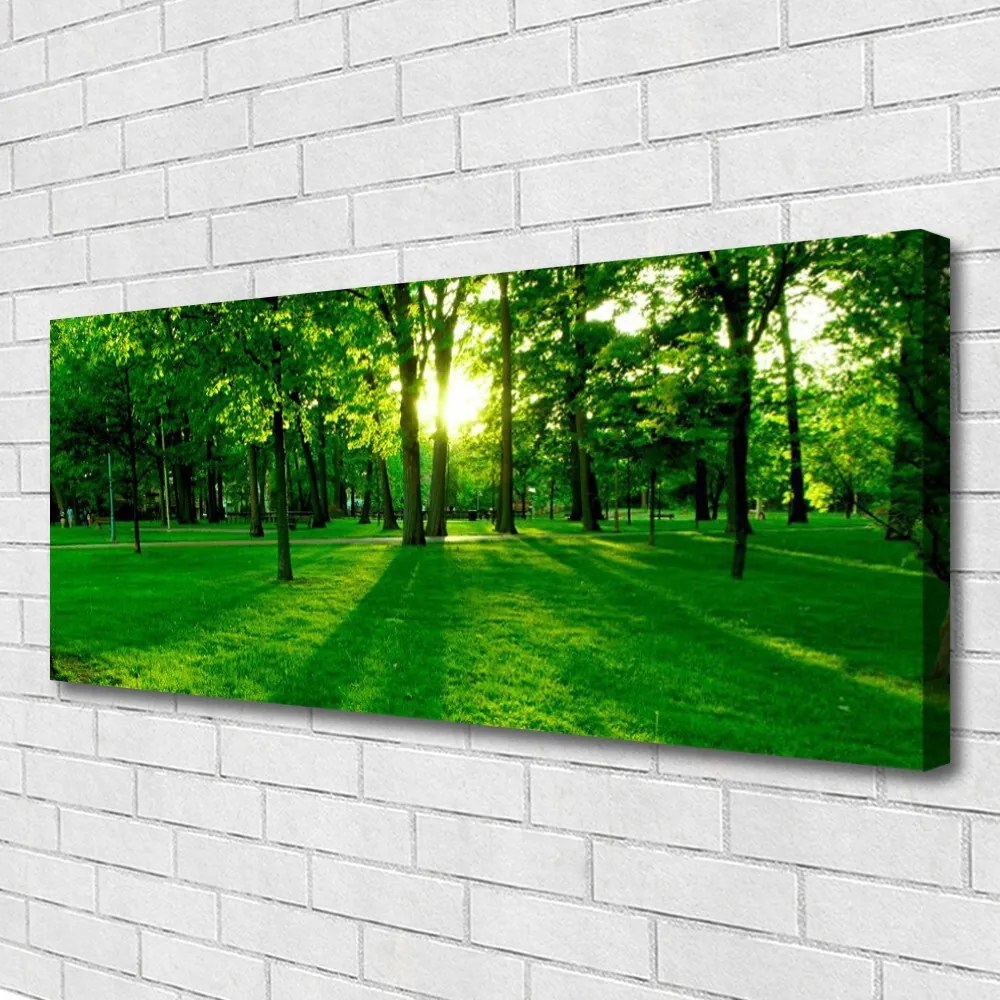 Obraz na płótnie Parkowe Alejki w Słońcu