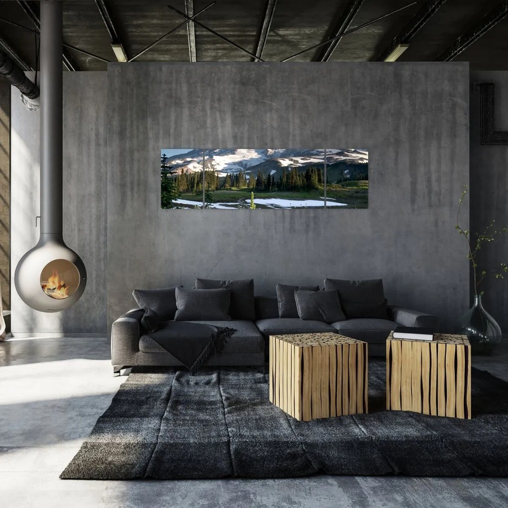 Obraz - Mount Rainier (170x50 cm)