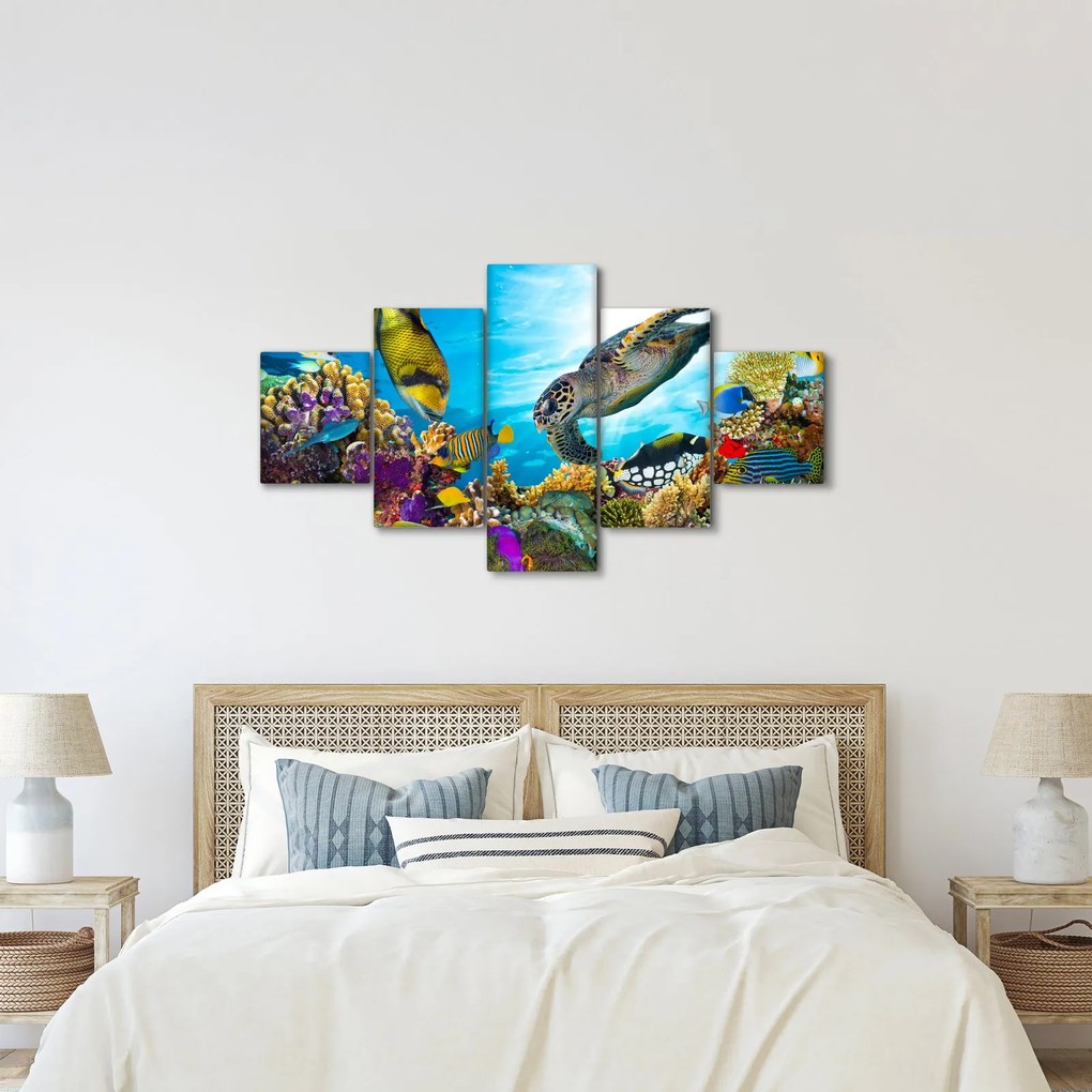 Obraz rafy koralowej (125x70 cm)