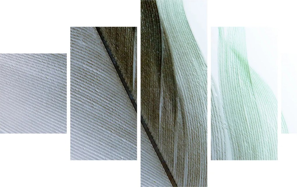 Obraz - Pióra, makro (125x70 cm)