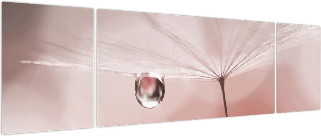 Obraz - Kropla rosy (170x50 cm)