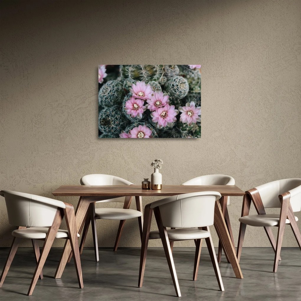 Obraz na szkle kwiatu kaktusa (70x50 cm)