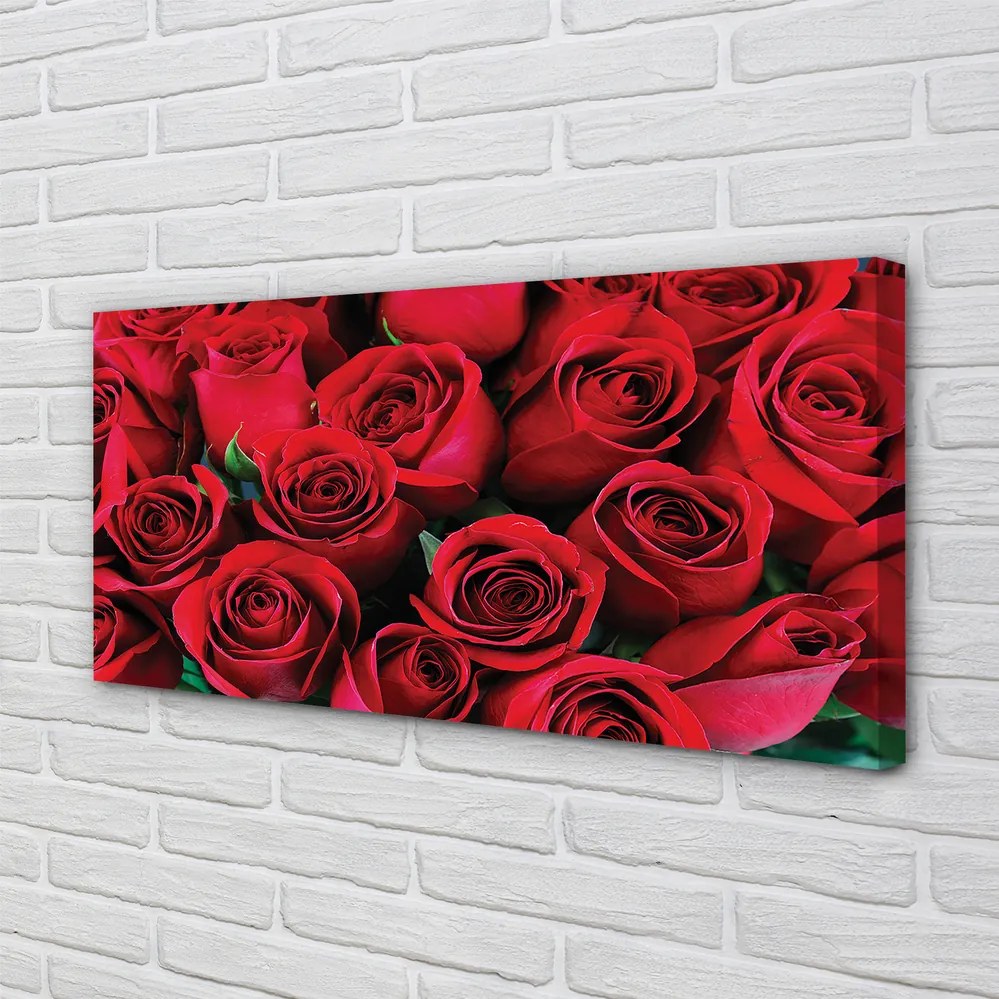 Duży obraz na płótnie Rozkwit Czerwonych Róż
