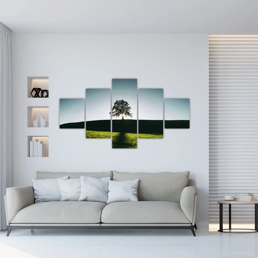 Obraz natury - drzewo (125x70 cm)