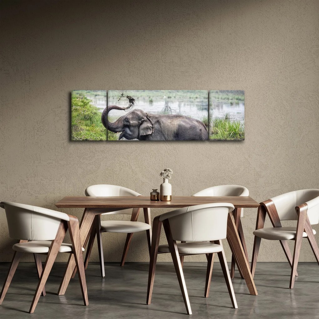 Obraz - Kąpiący się słoń (170x50 cm)