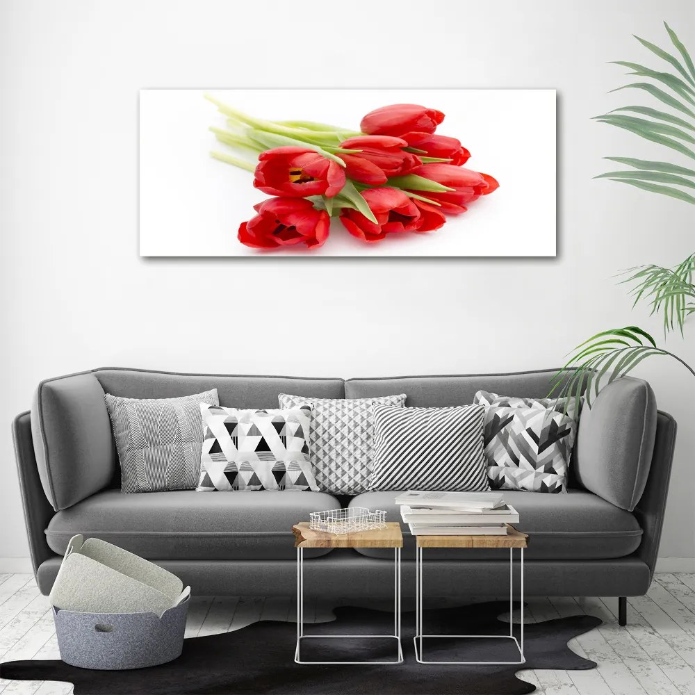 Foto obraz szklany Czerwone tulipany