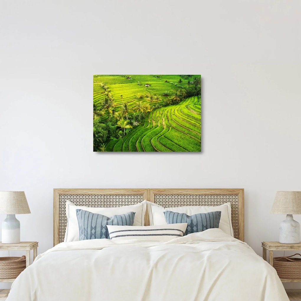 Obraz na szkle - Pola ryżowe (70x50 cm)