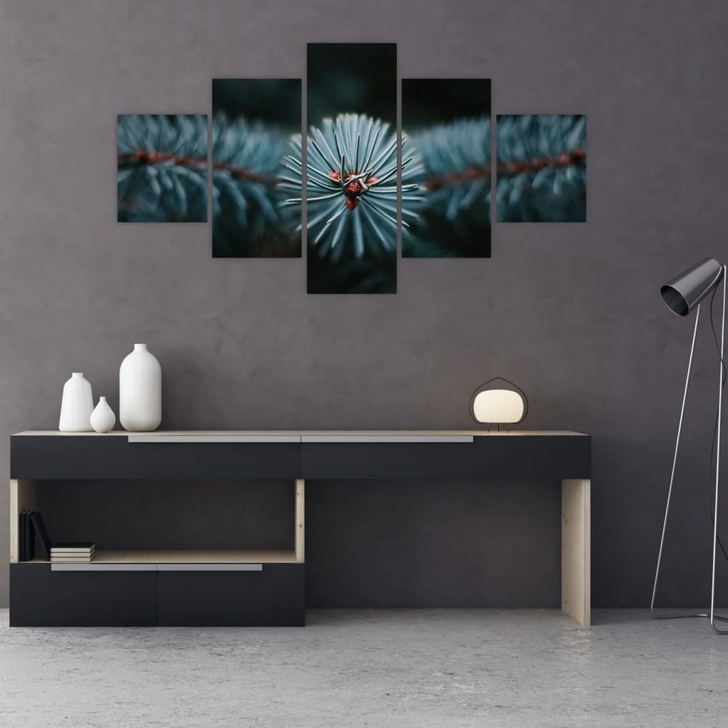 Obraz gałązki drzewa iglastego (125x70 cm)