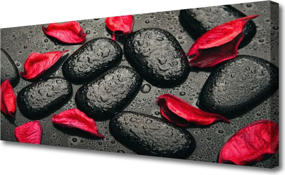 Duży obraz na płótnie Płatki Kwiatów na Kamieniach