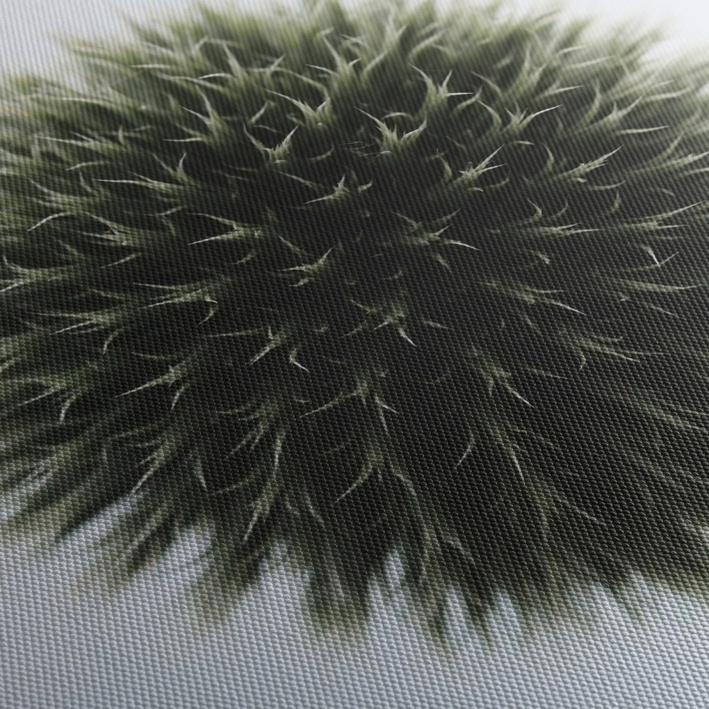 Obraz kuli kwiatowej (170x50 cm)