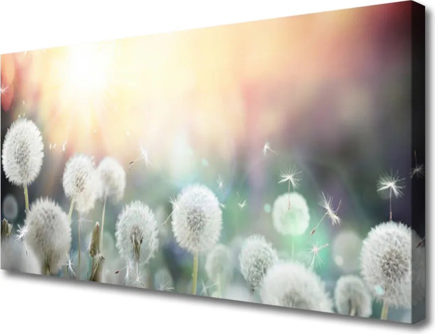 Obraz canvas Lekkość Polnych Dmuchawców