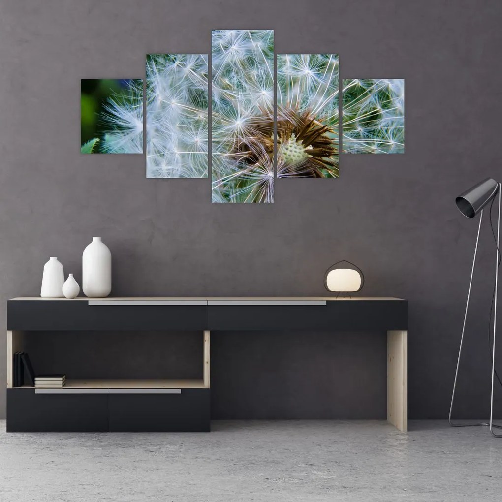 Obraz przekwitniętego dmuchawca (125x70 cm)