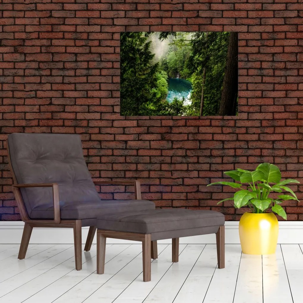 Obraz na szkle - Przestrzeń między drzewami (70x50 cm)