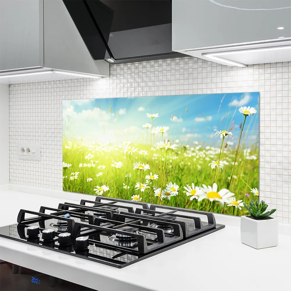 Panel Kuchenny Polana Pełna Stokrotek