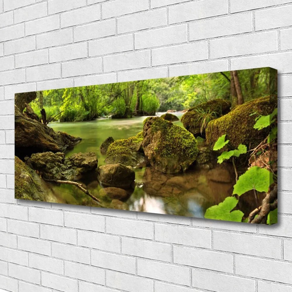 Obraz na płótnie Skała nad Cichym Jeziorem