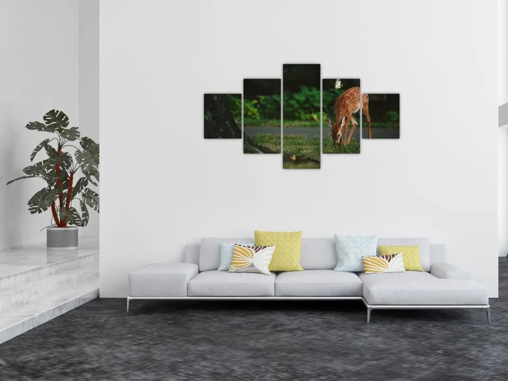 Wizerunek jelonka (125x70 cm)