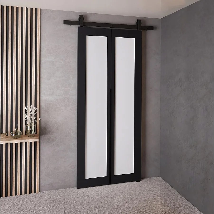 Drzwi Przesuwne QUDIO M1 Czarny + Biały 70