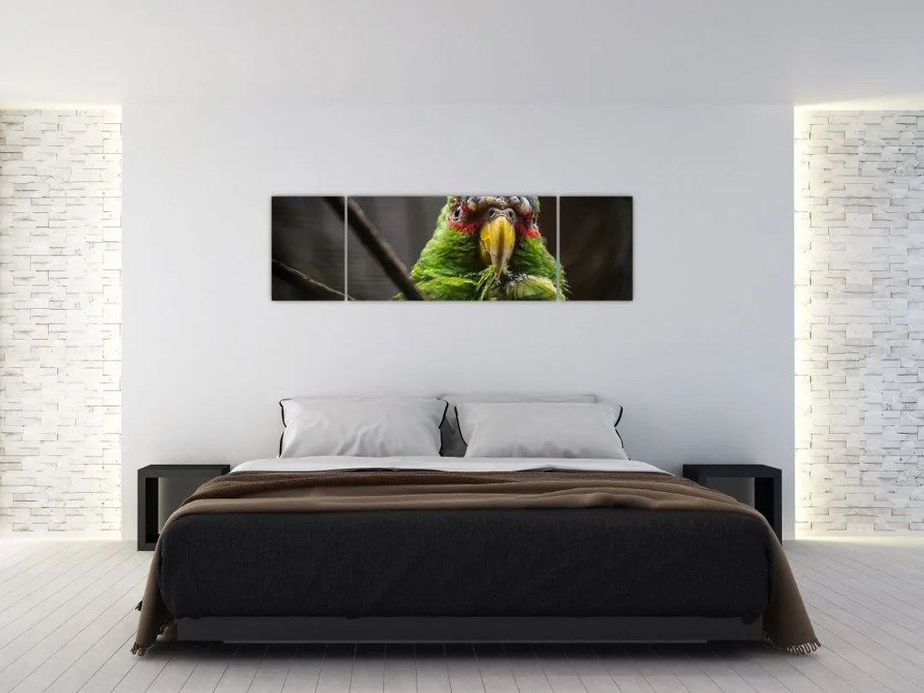 Obraz papugi (170x50 cm)