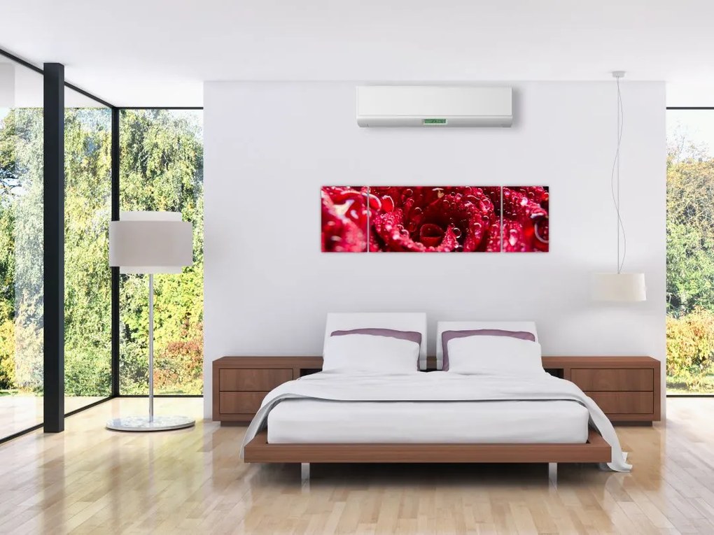 Obraz czerwonego kwiatu róży (170x50 cm)
