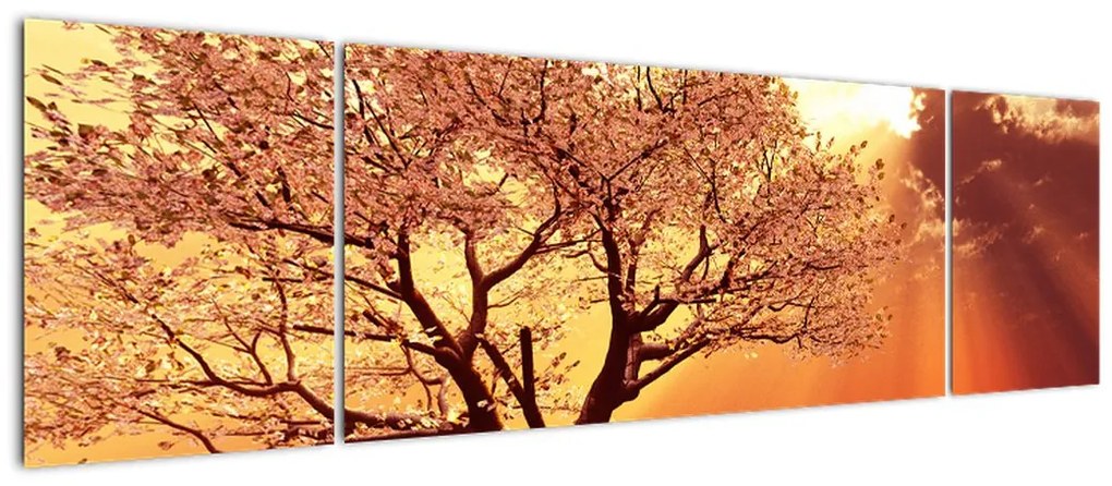 Obraz promieni Boga (170x50 cm)