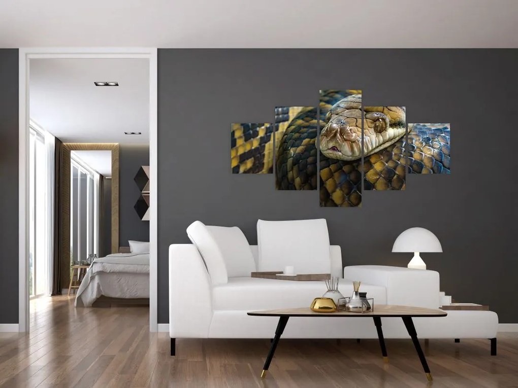 Obraz - Pyton (125x70 cm)