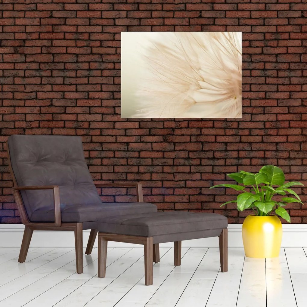 Obraz - Szczegóły kwiatu (70x50 cm)
