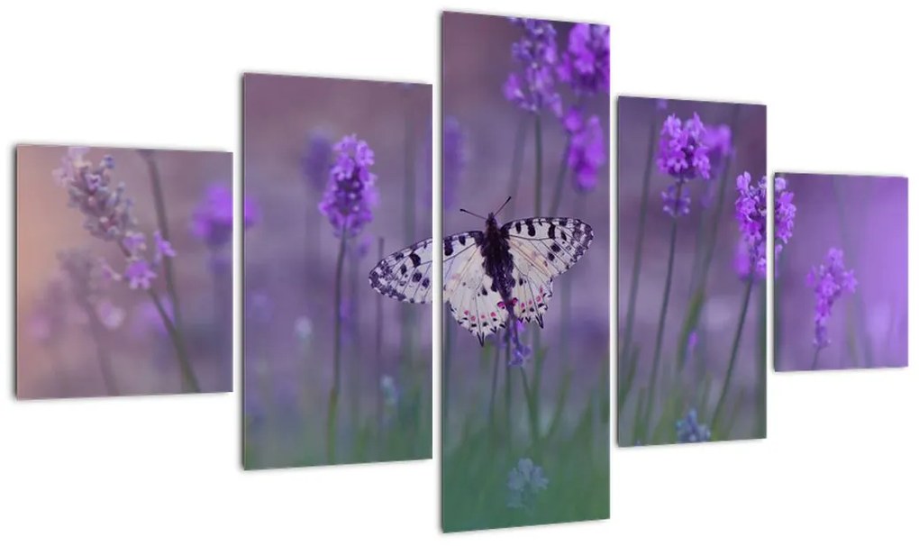 Obraz - Motyl w lawendach (125x70 cm)