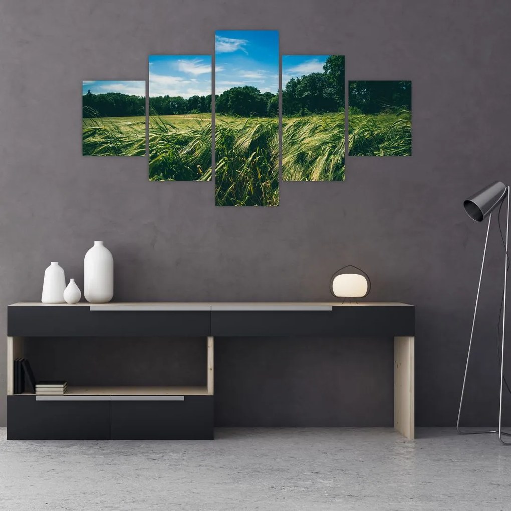 Obraz łąki i lasu (125x70 cm)