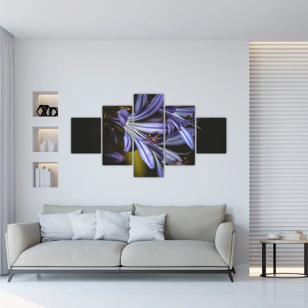 Obraz - Lilia (125x70 cm)
