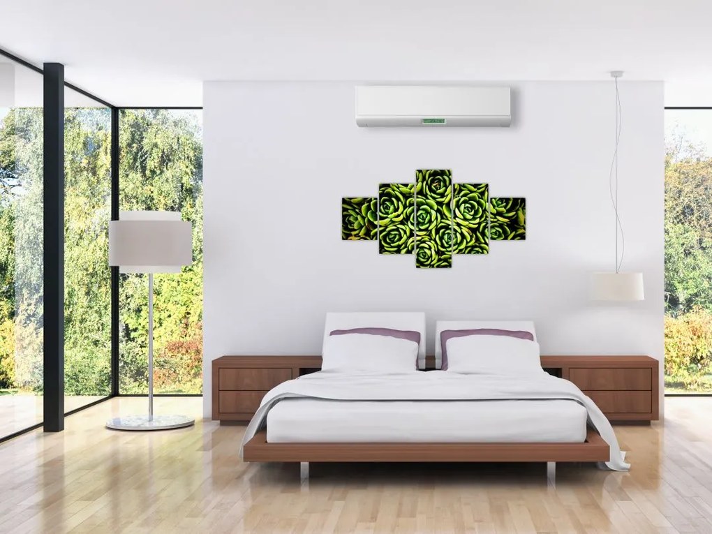 Obraz bez grzywki (125x70 cm)