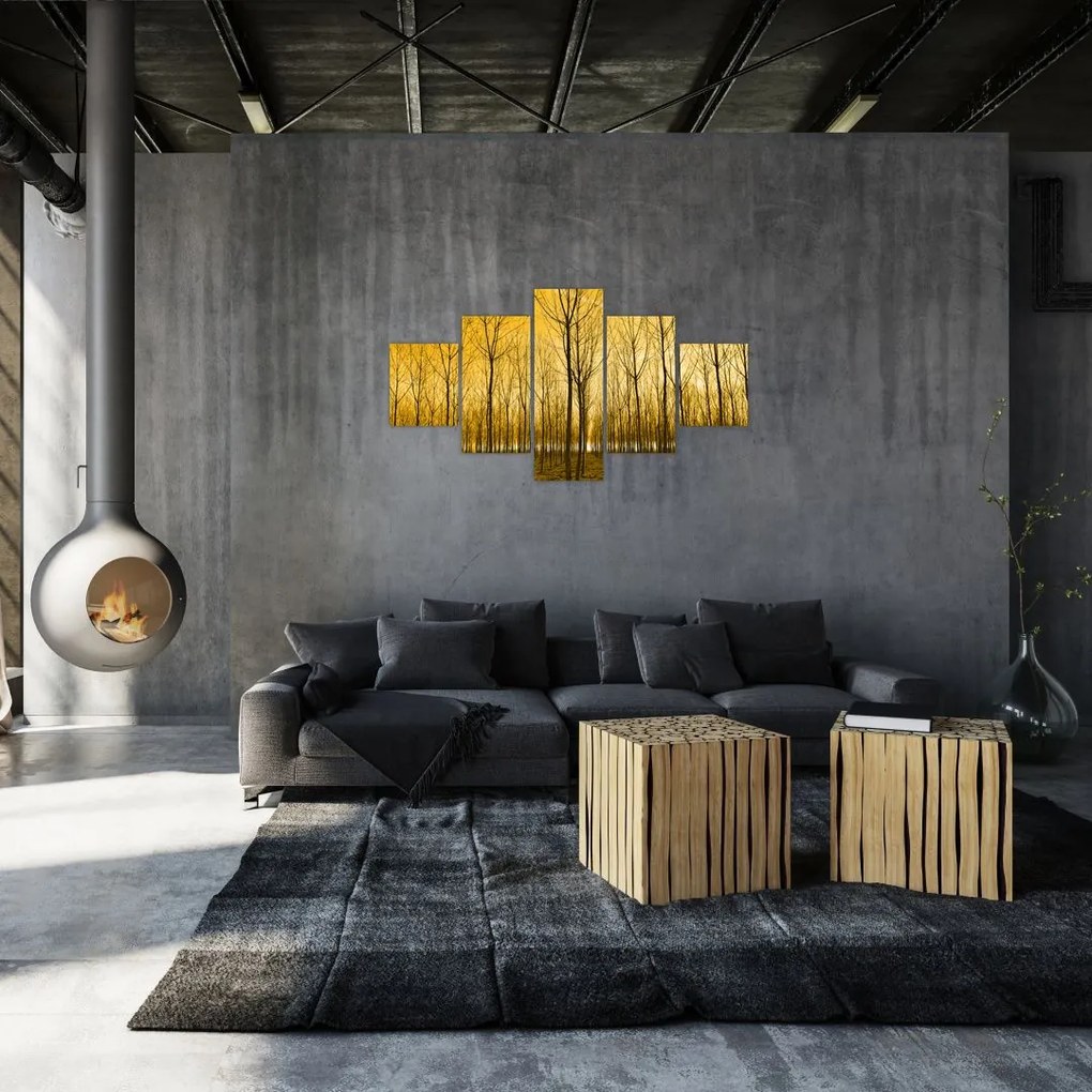 Obraz - Plantacja drzew (125x70 cm)