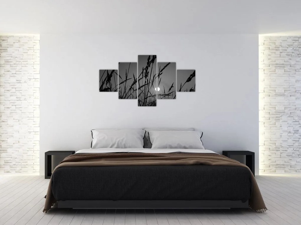 Obraz - Łąka z zachodem słońca (125x70 cm)