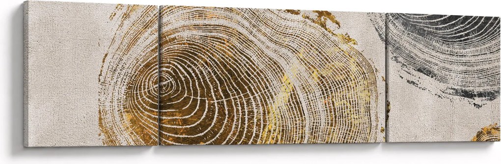 Obraz - Abstrakcja pnia (170x50 cm)