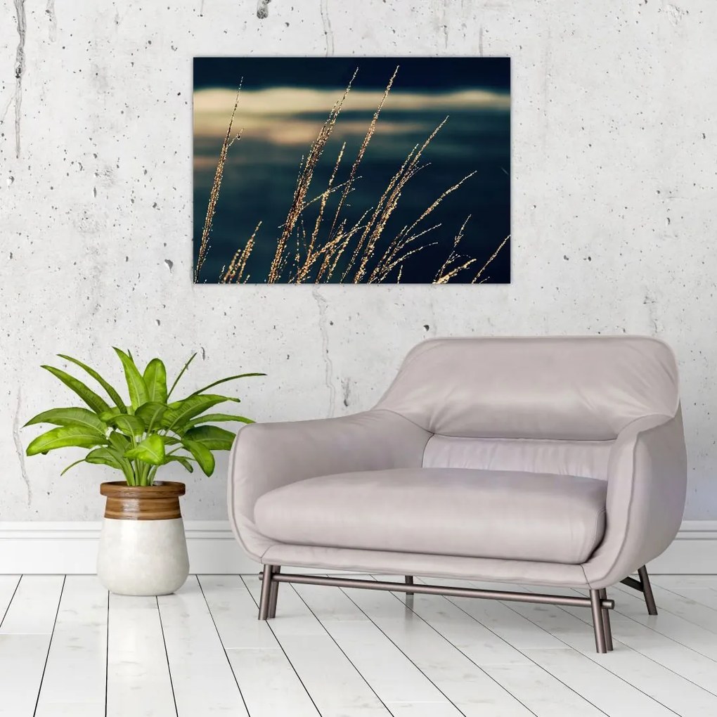 Obraz na szkle traw (70x50 cm)