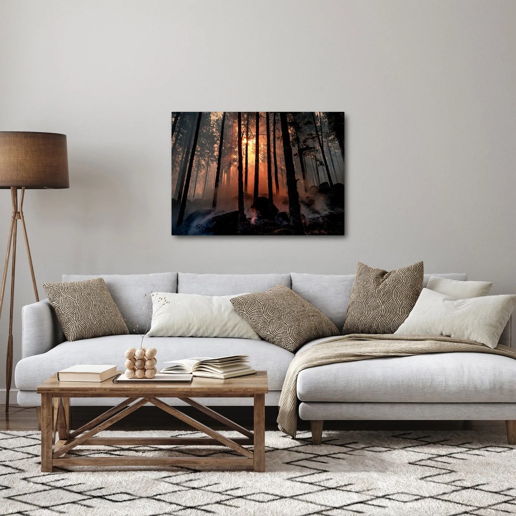 Obraz ciemnego lasu (70x50 cm)