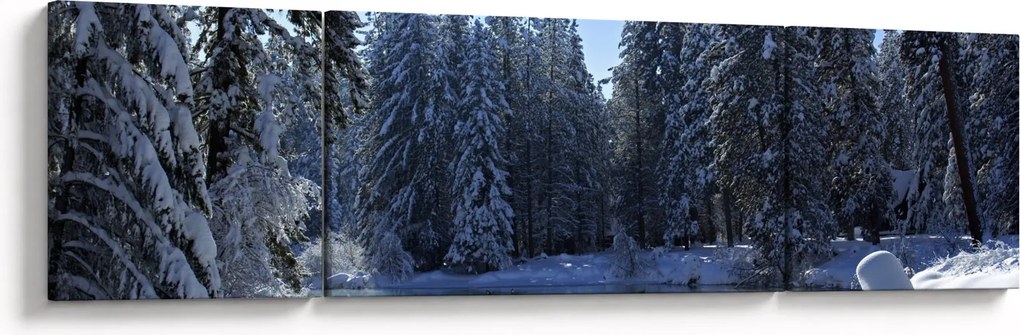 Obraz śnieżnego lasu (170x50 cm)