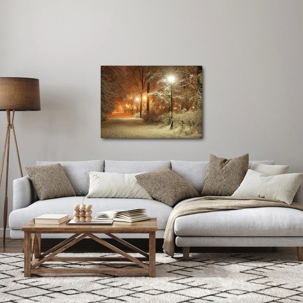 Obraz - Zaśnieżony park (70x50 cm)