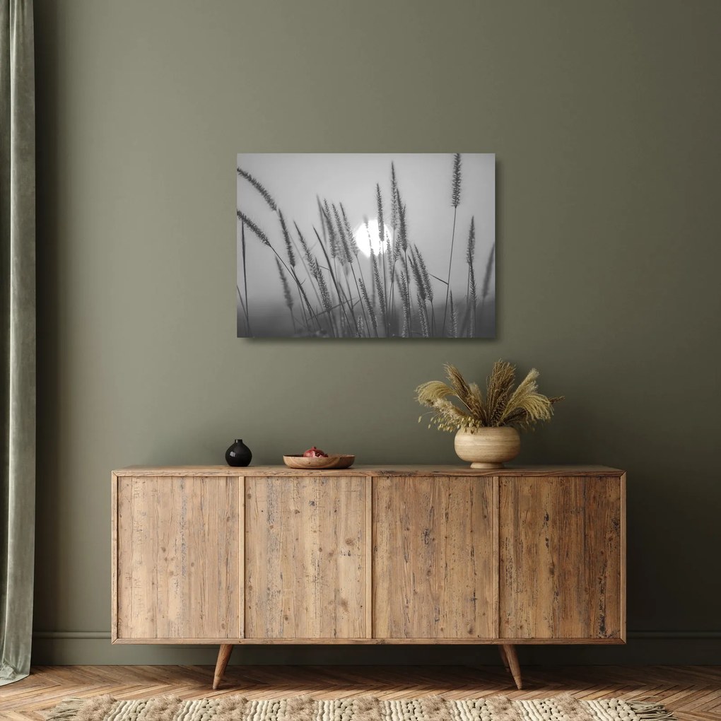 Obraz na szkle - Łąka o zachodzie słońca (70x50 cm)