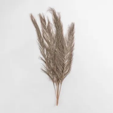 Zestaw 6 Suchych Dekoracyjnych Gałązek Nereida Pszenica Brązowa - Sklum