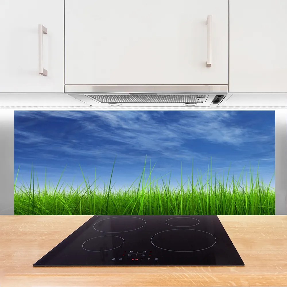 Panel Kuchenny Horyzont Nad Zieloną Łąką