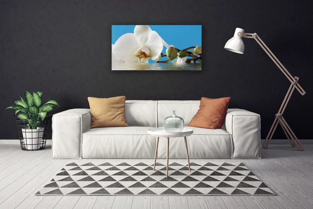 Duży obraz na płótnie Botaniczny Portret Kwiatu