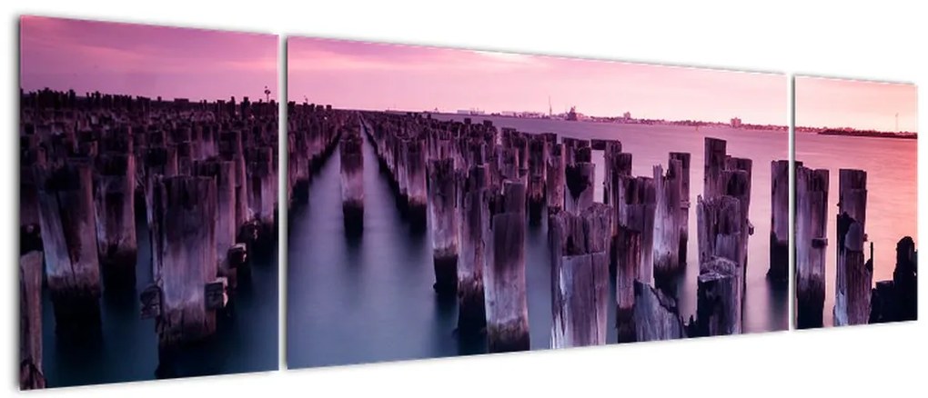 Obraz drewnianych palików (170x50 cm)