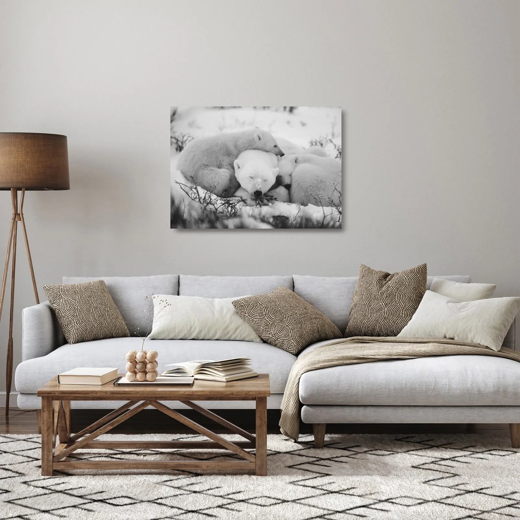 Obraz na szkle - Niedźwiedzie polarne (70x50 cm)