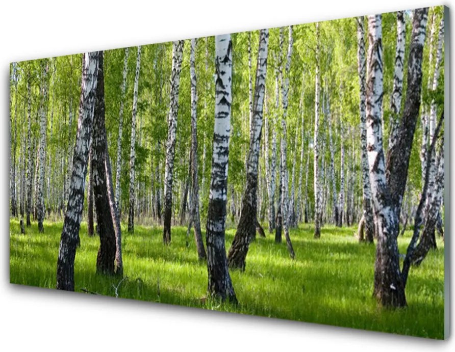 Panel Kuchenny Tajemniczy Bór Sosnowy