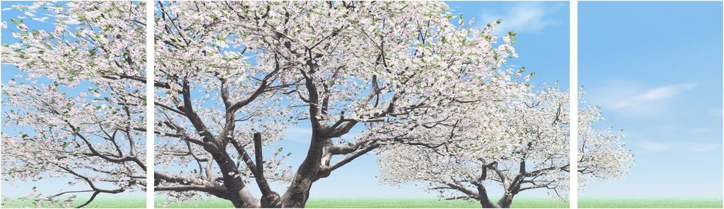 Obraz drzew (170x50 cm)