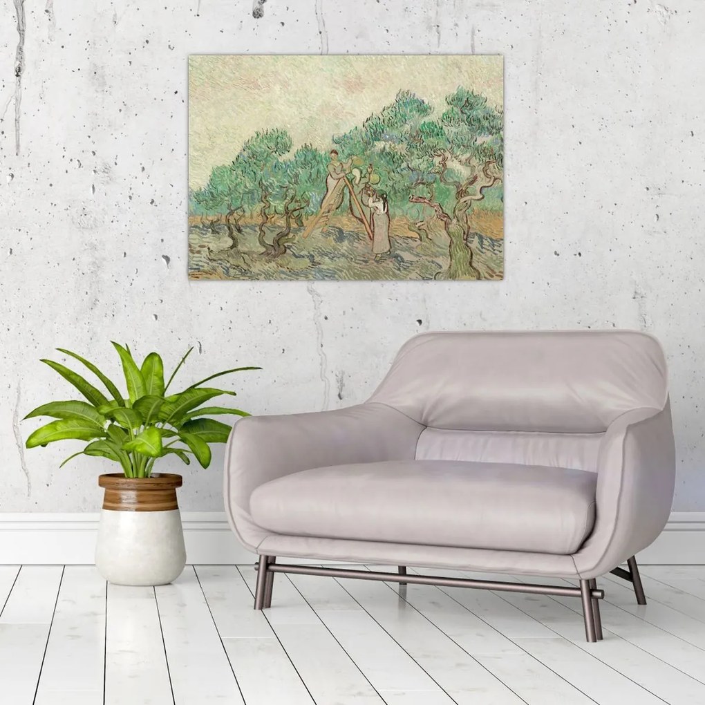 Obraz - Vincent van Gogh, The Olive Orchard, reprodukcje (70x50 cm)