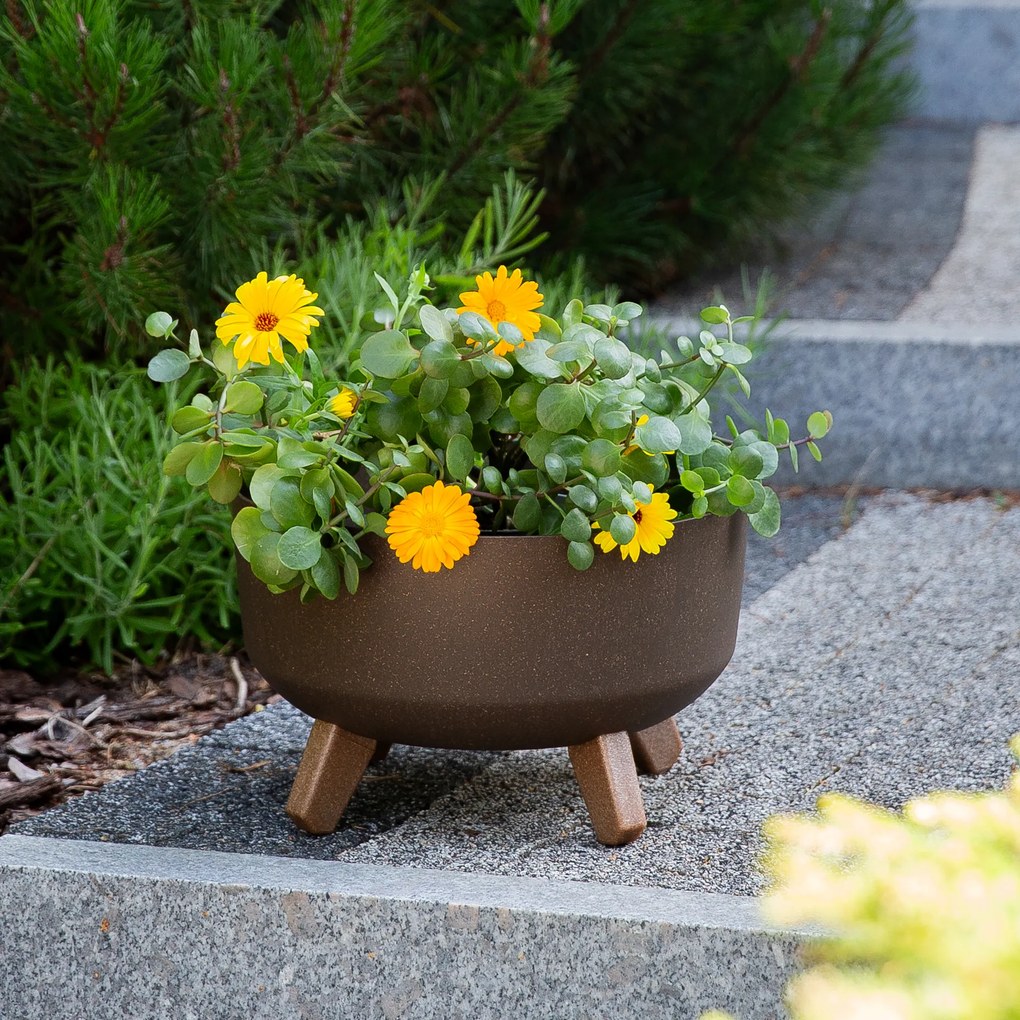 Donica ogrodowa okrągła Gracia Low ECO Wood 28,5 cm kawa PROSPERPLAST
