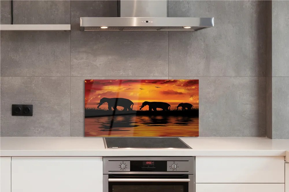 Panel szklany do Kuchni Słonie nad Wadą o Zachodzie