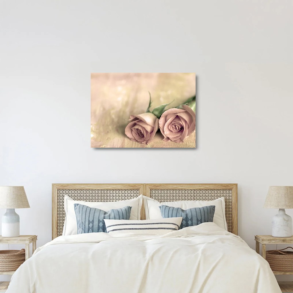 Obraz na szkle - Delikatne róże (70x50 cm)
